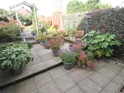 Picture 14